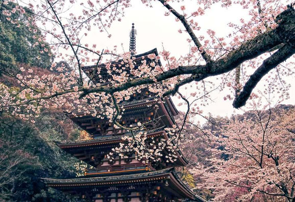 Lễ hội vào tháng ba