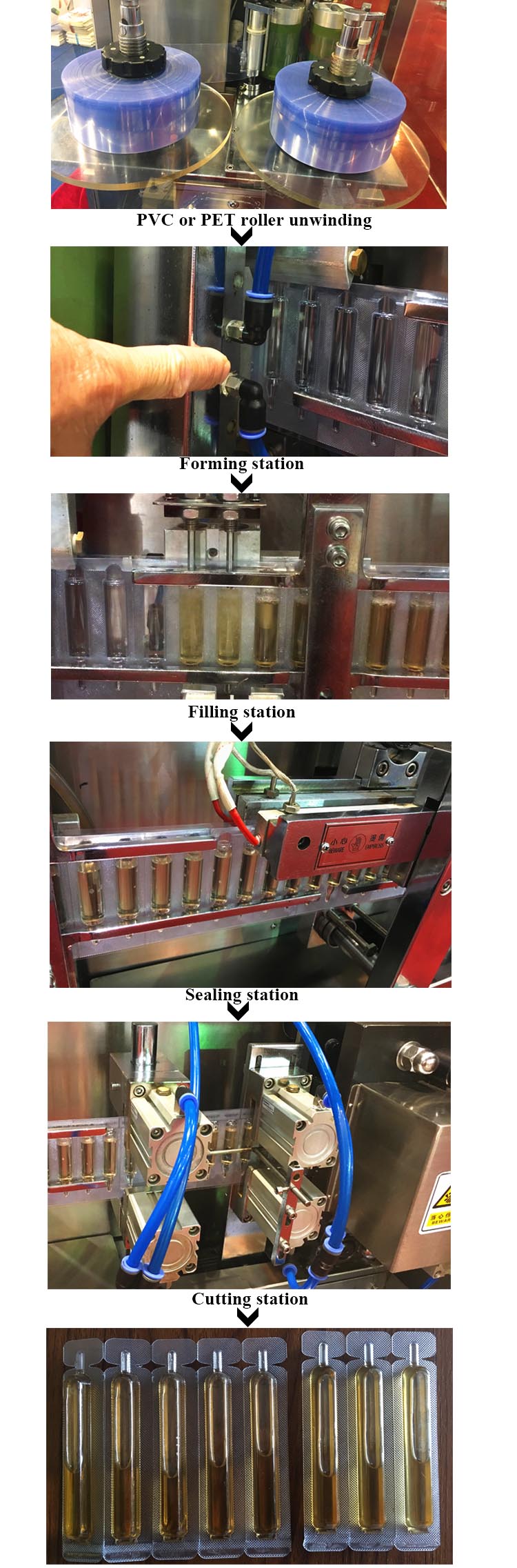 Ampoule l&agrave;m đầy đủ quy tr&igrave;nh sản phẩm của m&aacute;y ni&ecirc;m phong