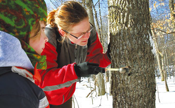 Lễ hội đường Maple