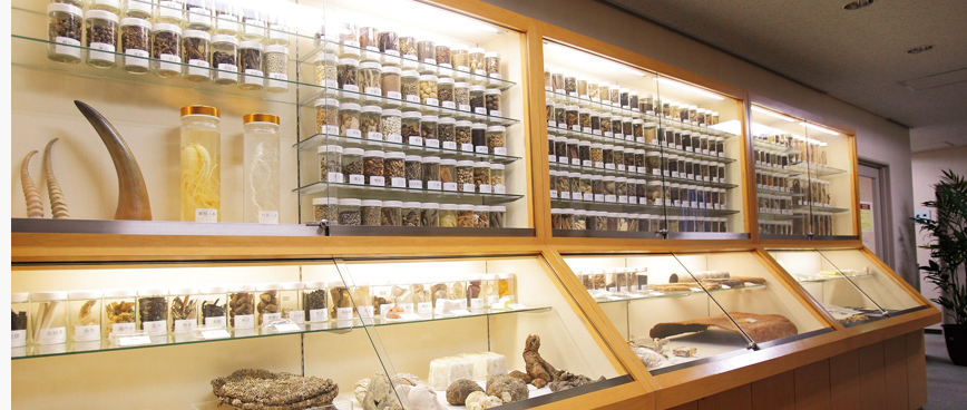 thuốc trung quốc3