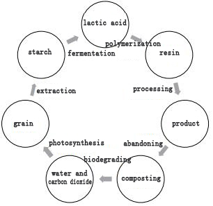 Ứng dụng sinh học trong Gói thực phẩm và dược phẩm II