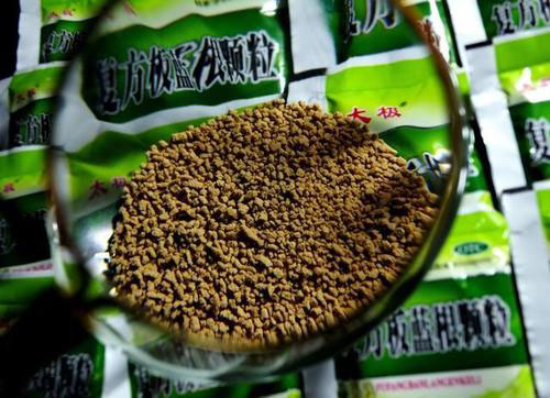 Tiêu chuẩn quốc tế của Isatis Indigotica Root