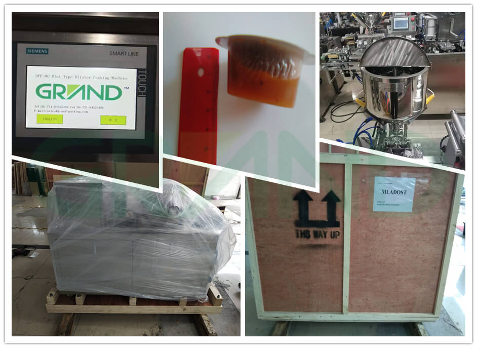 M&aacute;y đ&oacute;ng g&oacute;i phồng rộp cho mứt